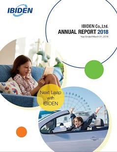 2017年度(平成30年3月期)